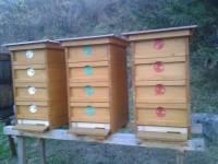 /album/fotogaleria-ule/a2013-11-11-15-27-35-jpg/